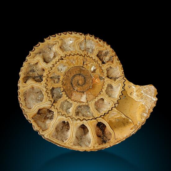 Fossil