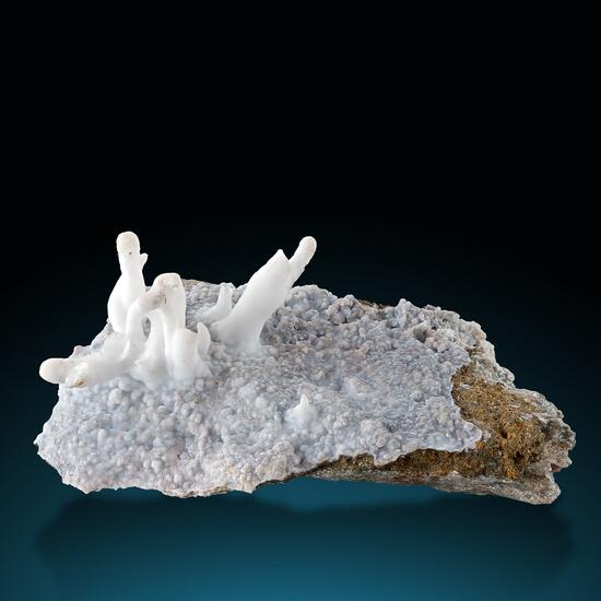 Aragonite Var Flos Ferri