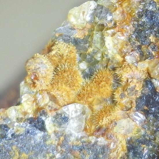 Karibibite