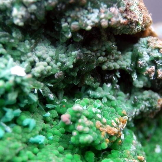 Brochantite & Conichalcite