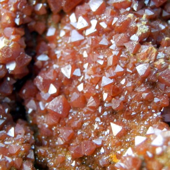 Wulfenite