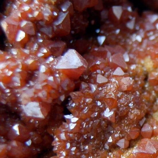 Wulfenite