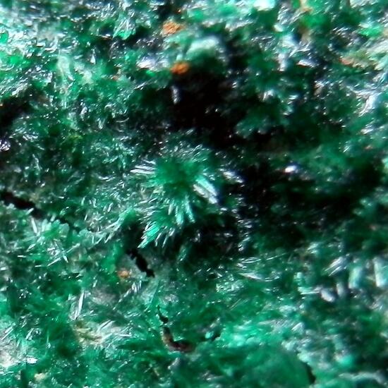 Brochantite