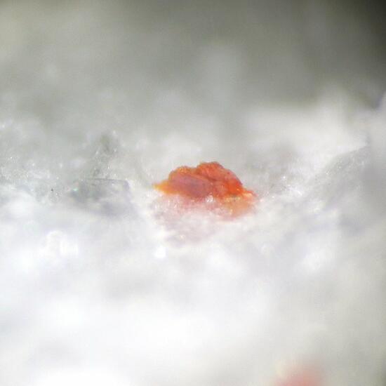 Ambrinoite