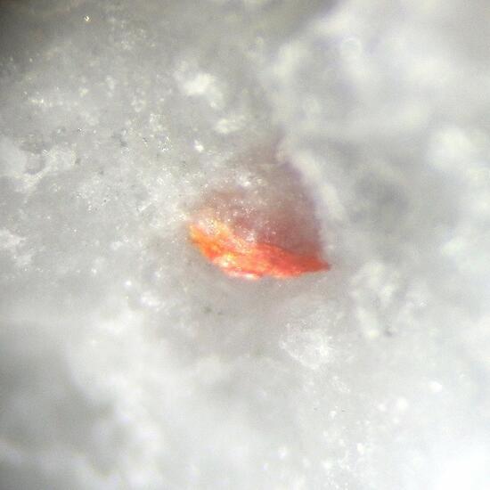 Ambrinoite
