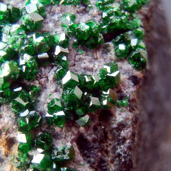 Uvarovite