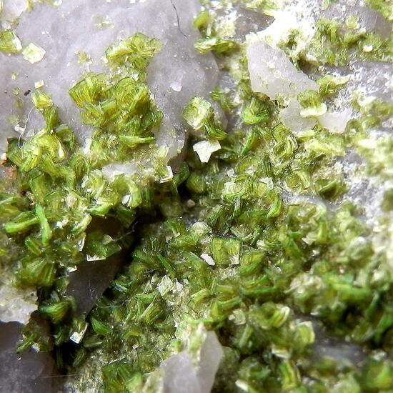 Autunite