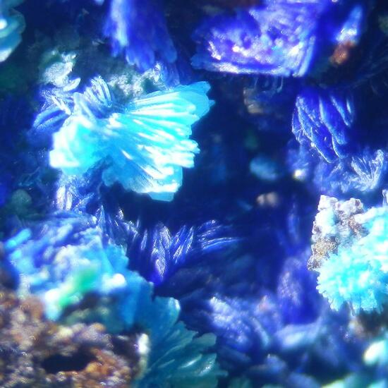 Lavendulan & Azurite & Malachite