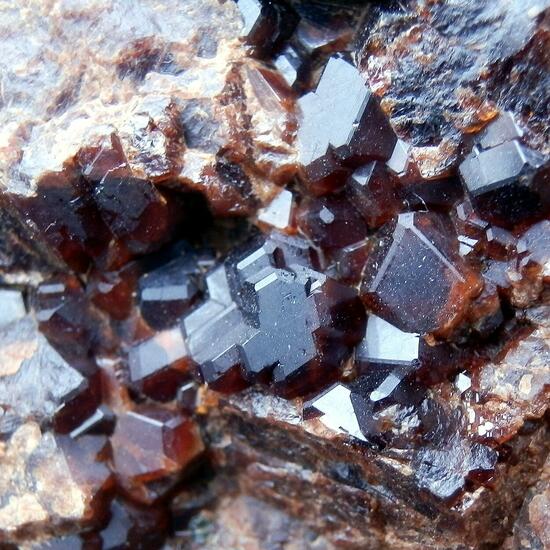 Garnet