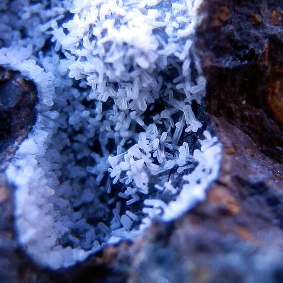 Phillipsite