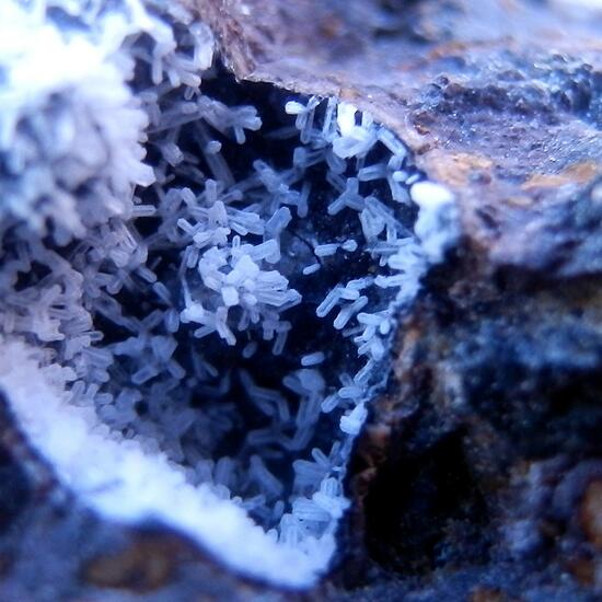 Phillipsite