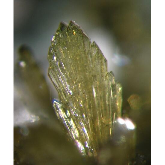 Epidote