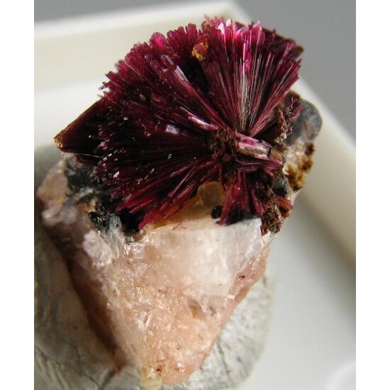 Erythrite