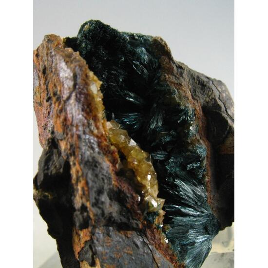 Gormanite