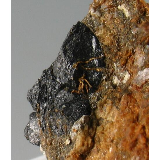 Gold & Uraninite