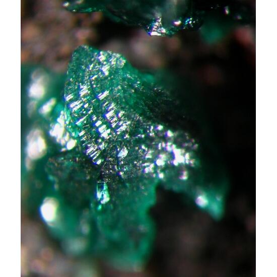 Philipsburgite