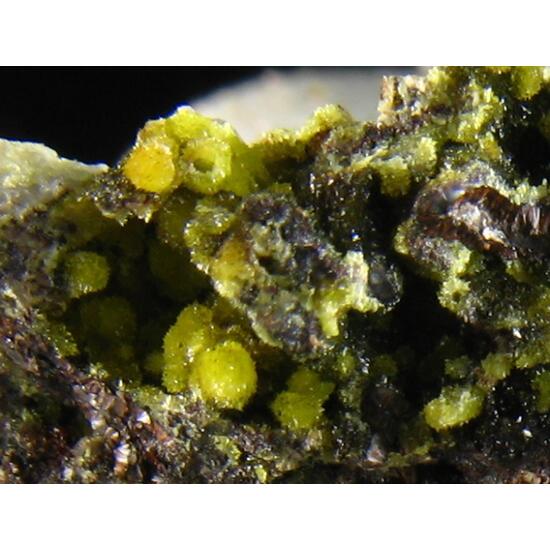 Plumbogummite