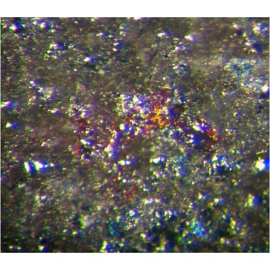 Protochabournéite & Routhierite