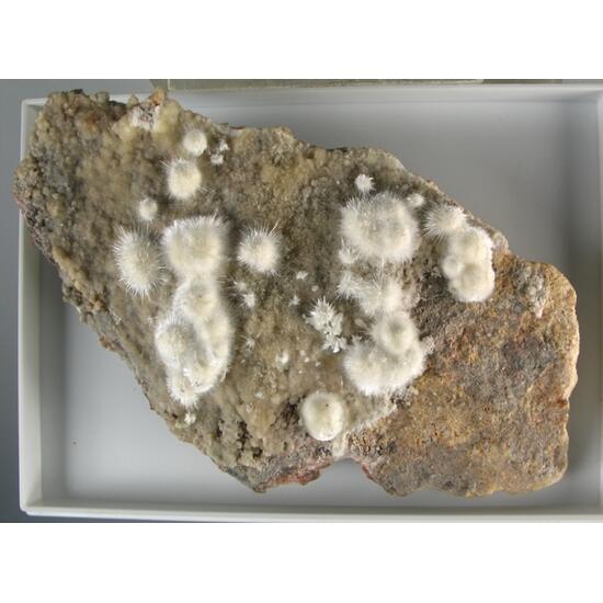 Rauenthalite & Phaunouxite