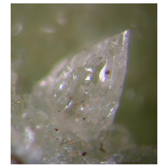 Senegalite Wavellite & Crandallite