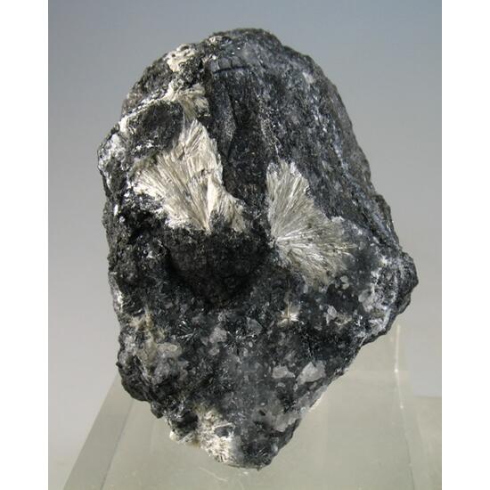 Valentinite & Stibnite