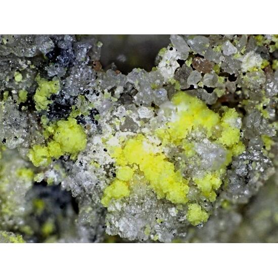 Bayleyite