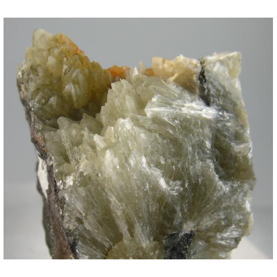 Collinsite