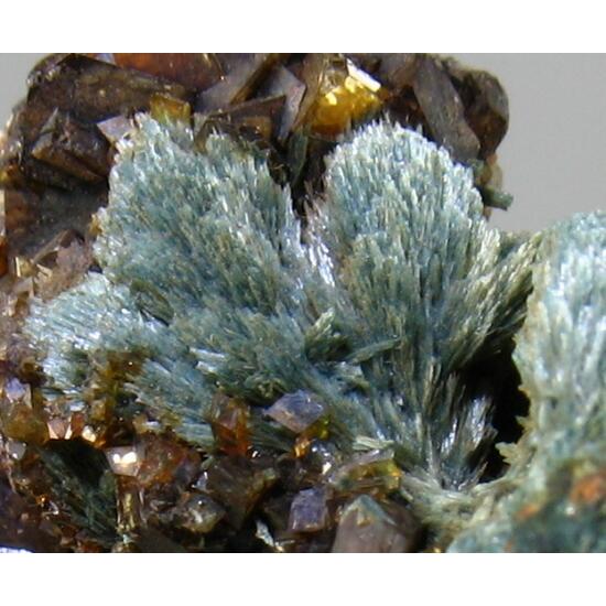 Gormanite