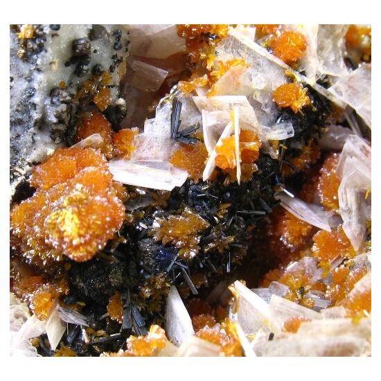 Hutchinsonite & Orpiment