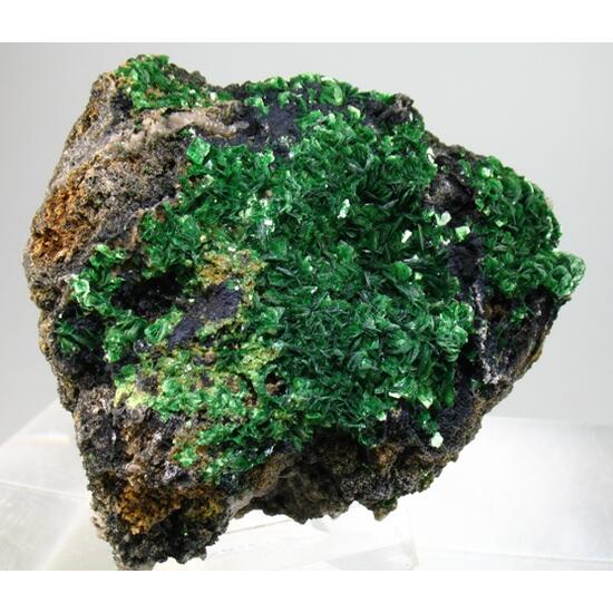 Metatorbernite