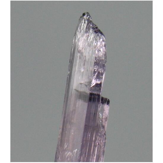 Scapolite