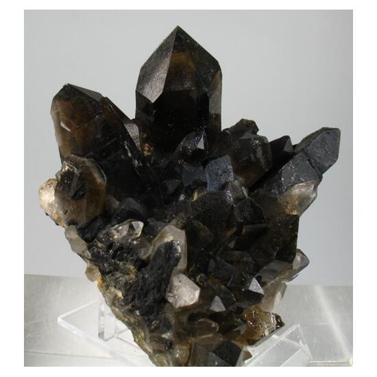 Smoky Quartz & Wolframite