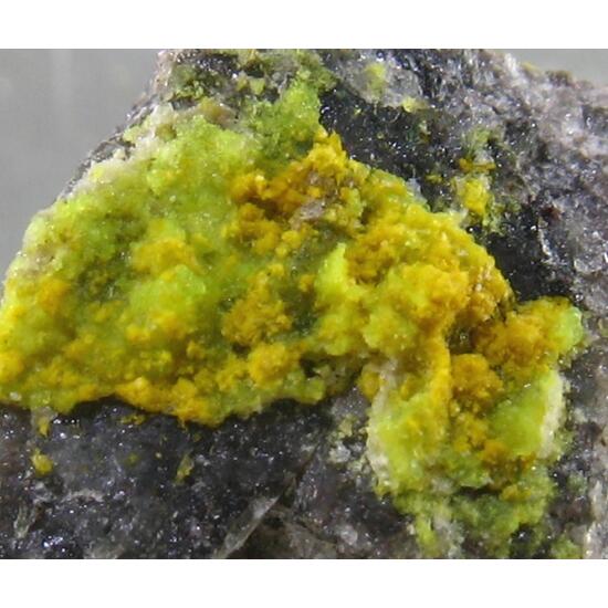 Bayleyite