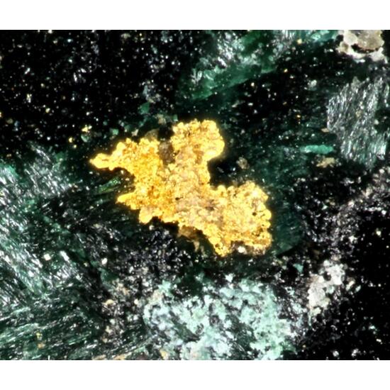Gold Paratacamite & Percylite