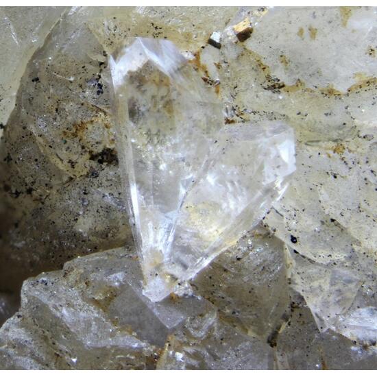 Whewellite