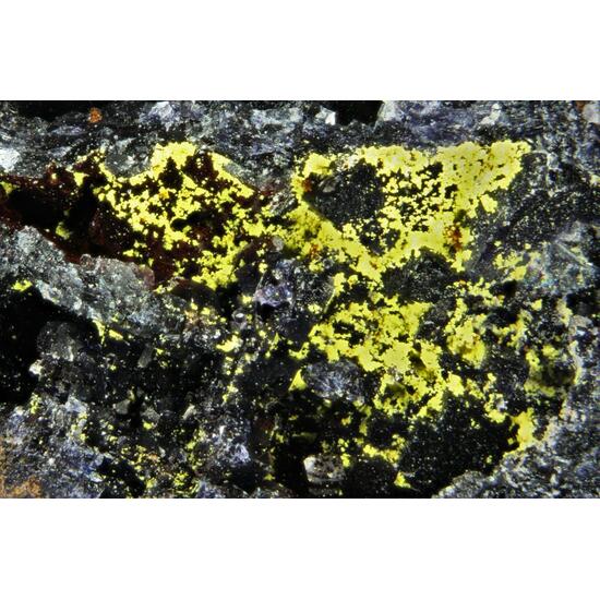 Carnotite