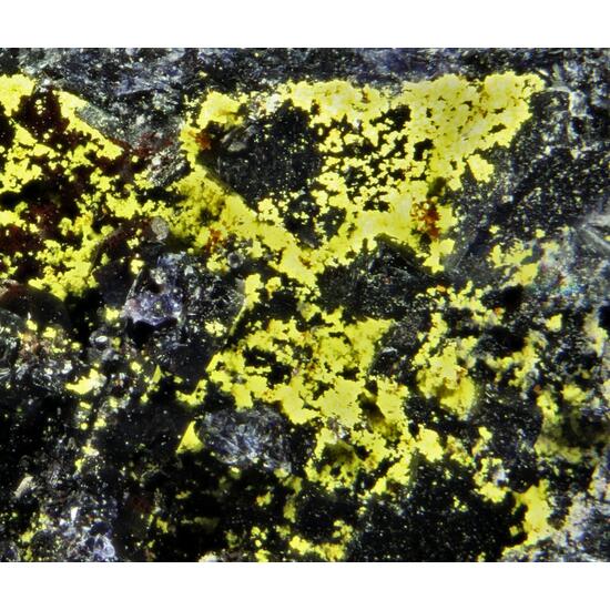 Carnotite