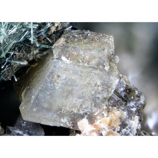 Sazykinaite-(Y) Lemmleinite-K Sitinakite & Umbite