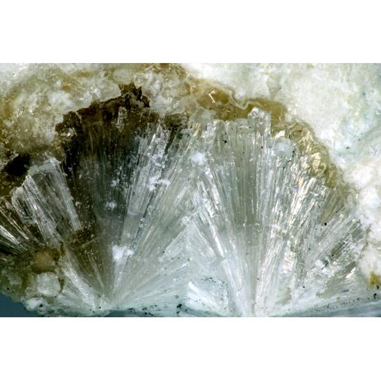 Lovdarite