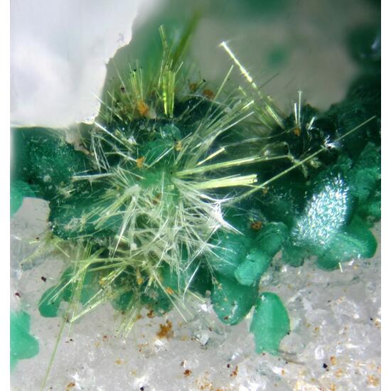 Cornwallite & Agardite-(Ce)