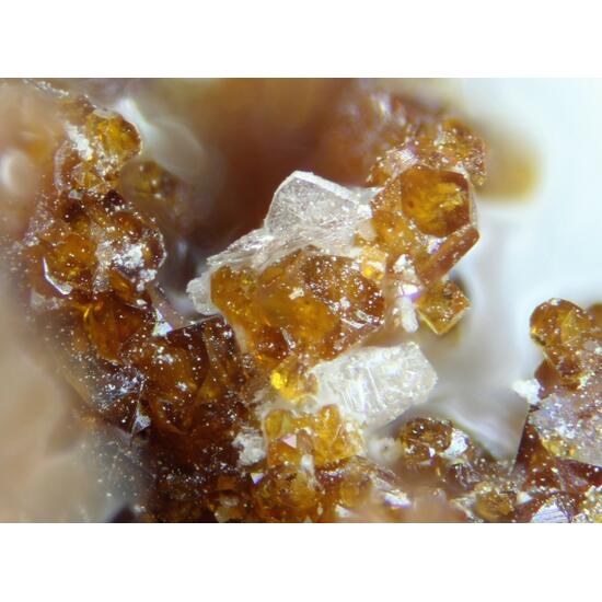 Fairbankite & Rodalquilarite