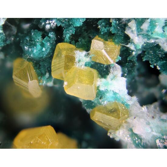 Herbertsmithite Zincrosasite & Wulfenite