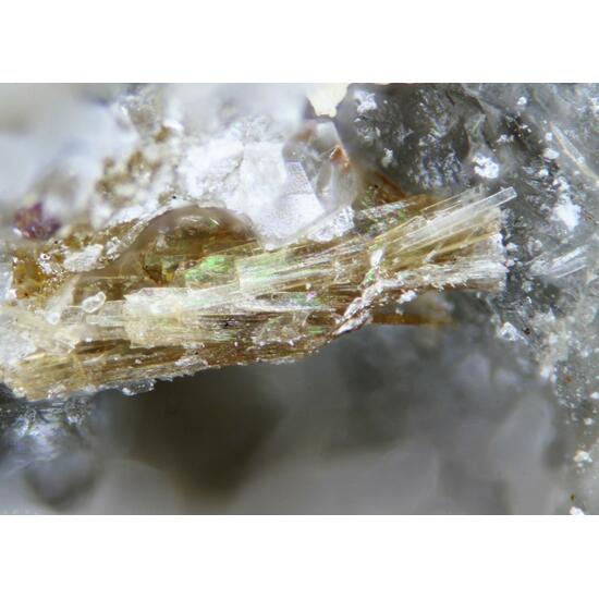 Ciprianiite