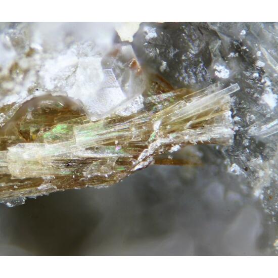 Ciprianiite