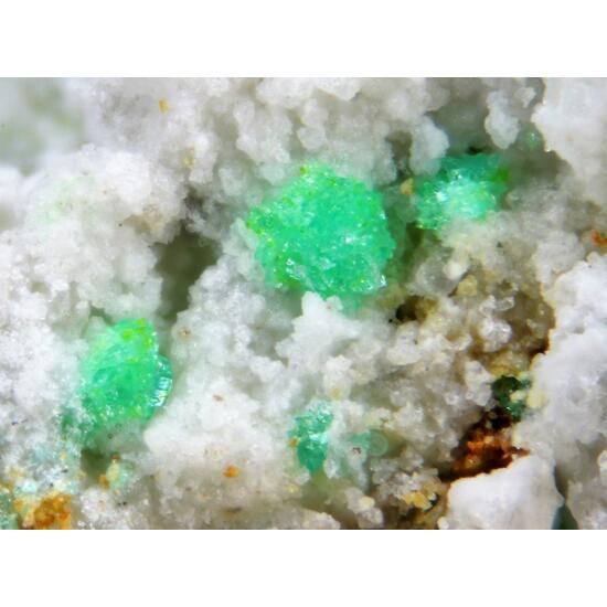 Molybdofornacite