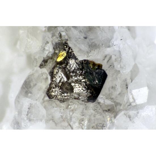 Matildite & Chalcopyrite