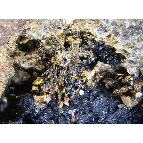 Native Gold & Uraninite