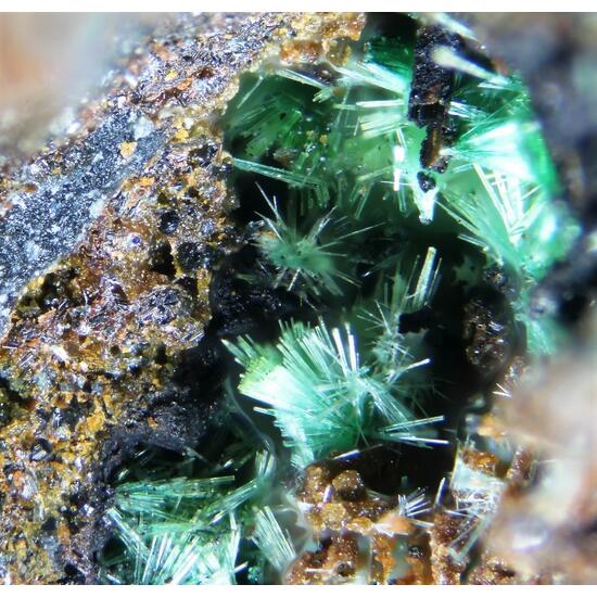 Goudeyite & Philipsbornite