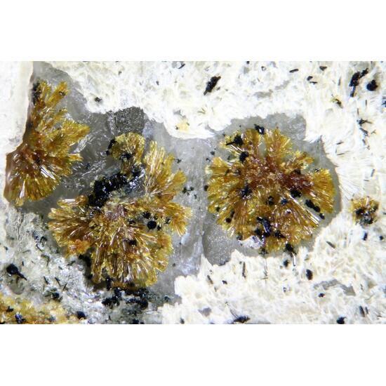 Earlshannonite