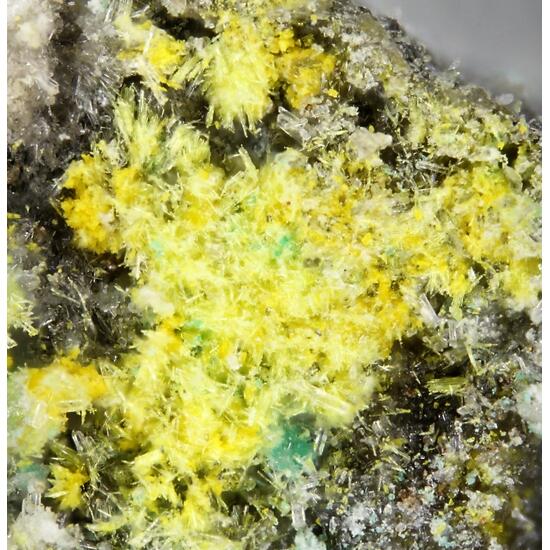 Alwilkinsite-(Y)